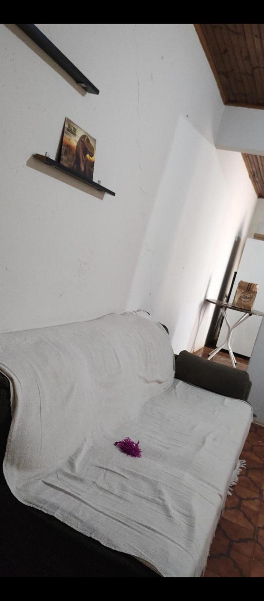 Pe De Pitanga - Unica Casa Arborizada Do Quarteirao Com Arvores Frutiferas Maringá Dış mekan fotoğraf